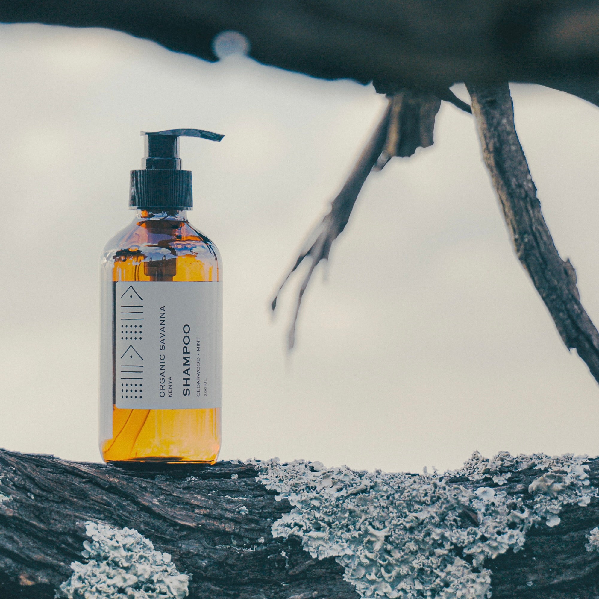 Shampoo: Cedar + Mint - 200ml – Organic Savanna