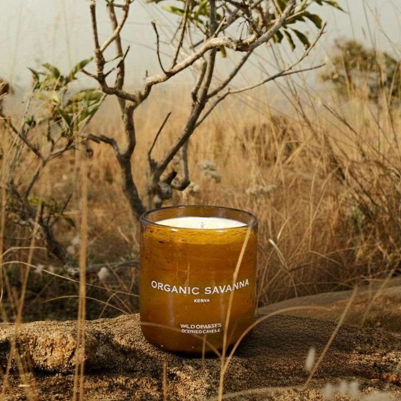 Wild Grasses Scented Candle - 300ml