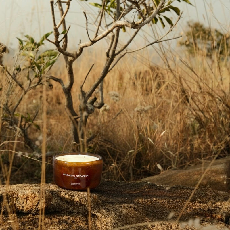 Wild Grasses Scented Candle - 1000ml