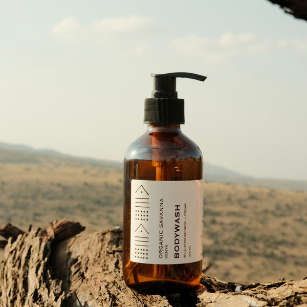Body wash: Cedarwood + Basil