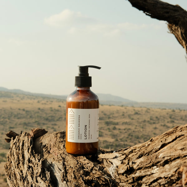 Lotion: Shea + Macadamia