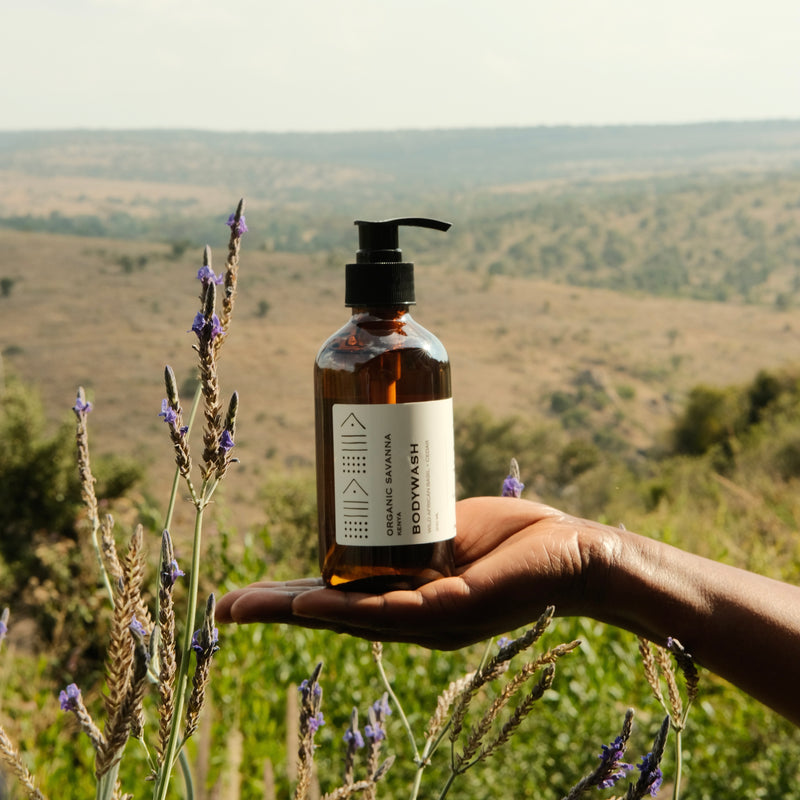 Body wash: Cedarwood + Basil - 200ml