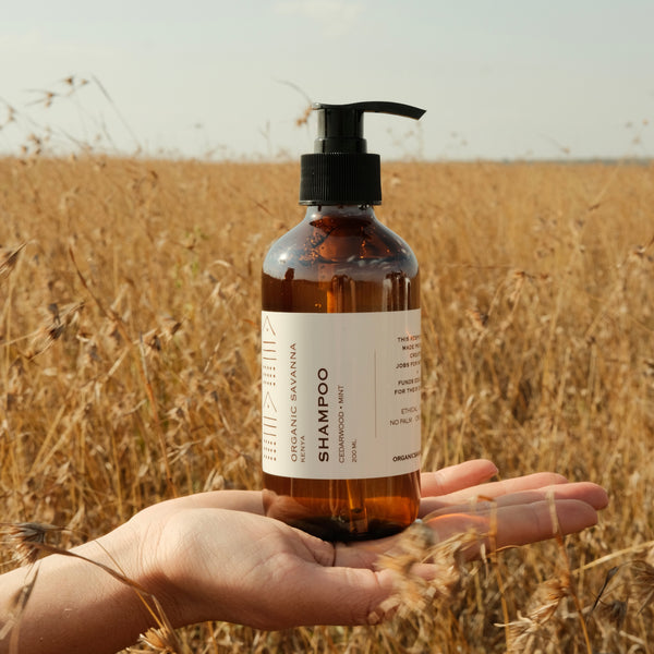 Shampoo: Cedar + Mint