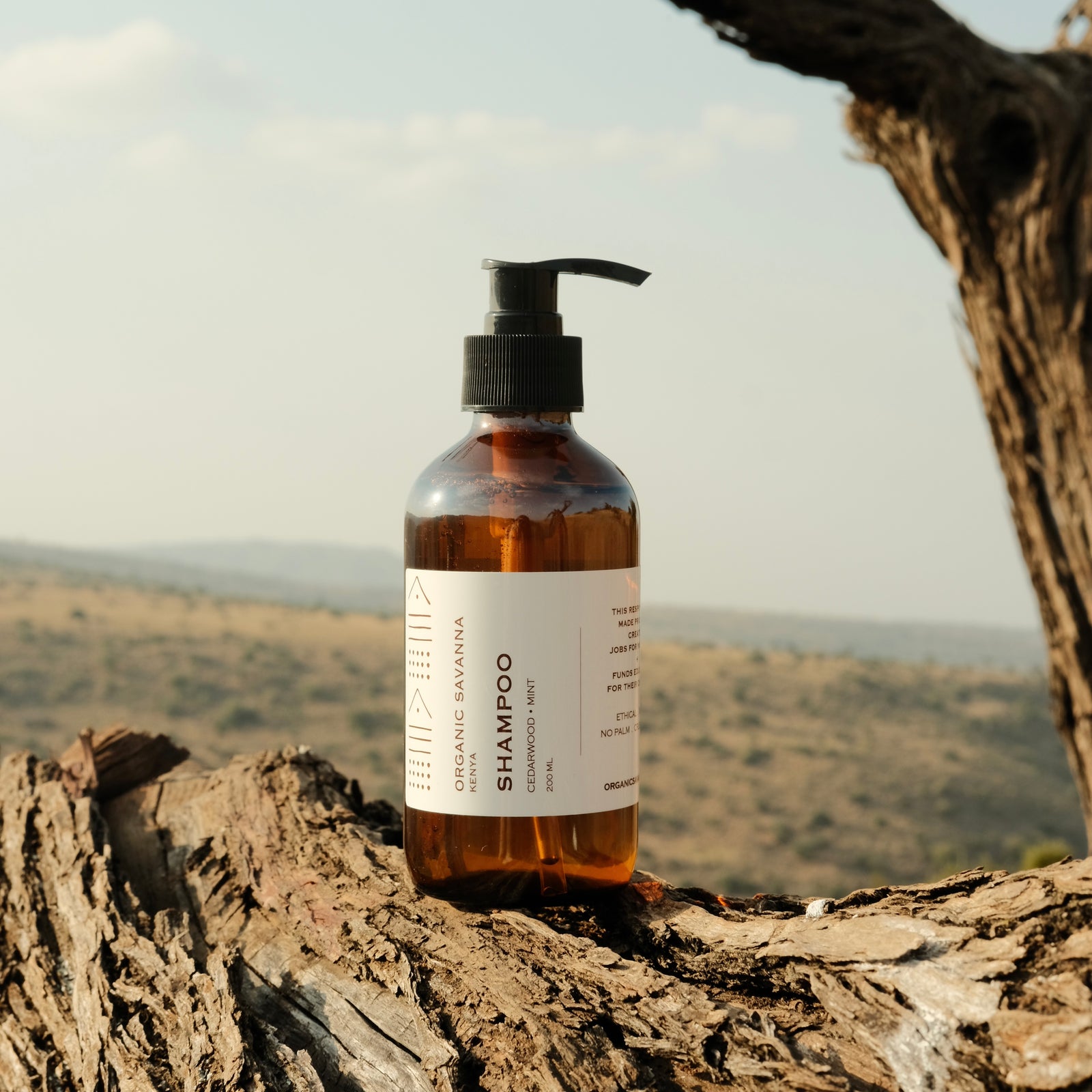 Shampoo: Cedar + Mint - 200ml – Organic Savanna