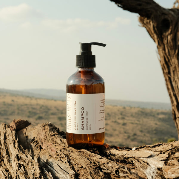 Shampoo: Cedar + Mint